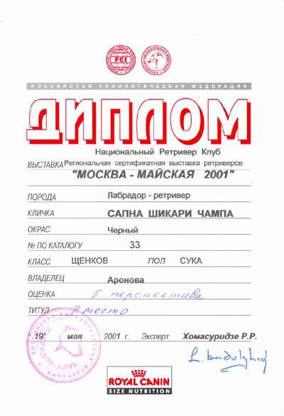 ������ � �������� ������-������� 2001
