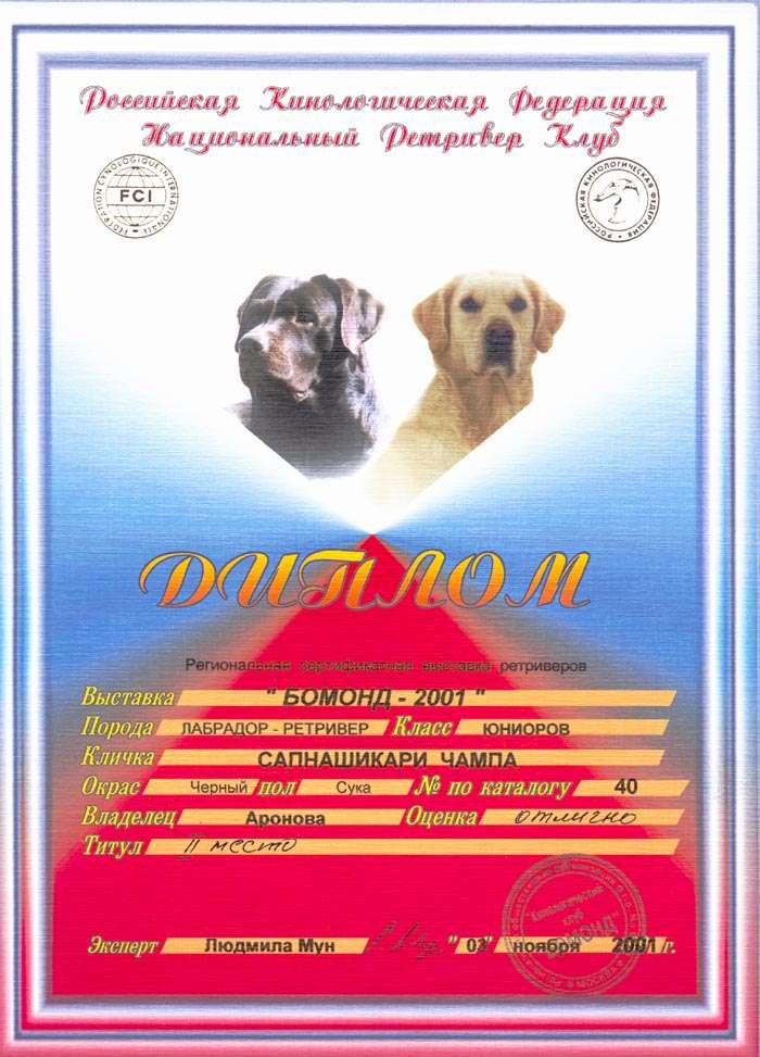 ������ � �������� ������-2001