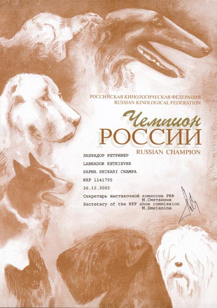 ���������� ������� ������