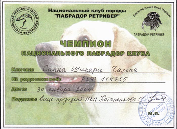 ���������� ������� ������������� �������� �����