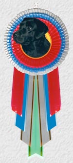 ������� � ������������ �����.